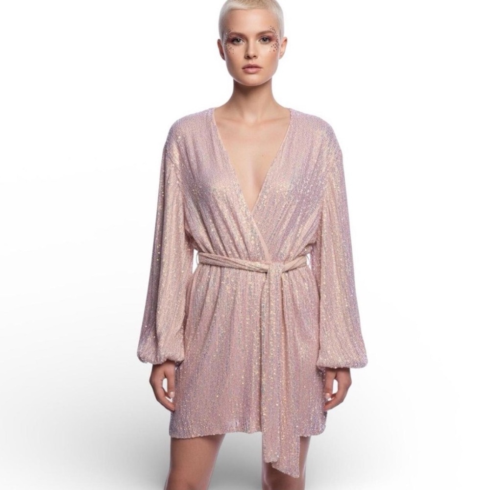 Retrofete Gabrielle Robe Dress in Baby Pink Size S MSRP $698 Iridescent Sequins